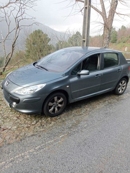 Peugeot 307 1.6 hdi Guarda