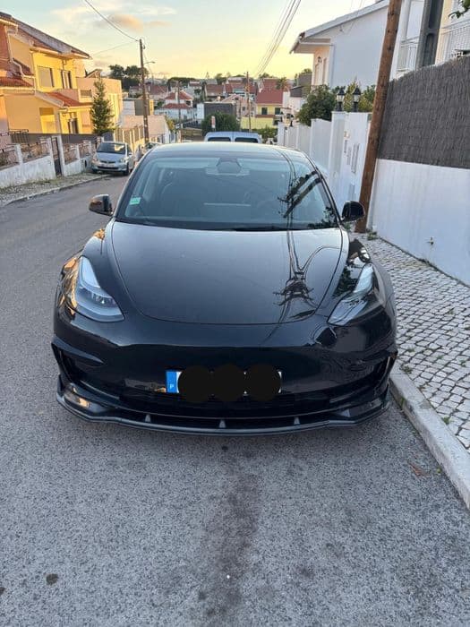 Tesla Model 3 standard range plus RWD /283cv/
