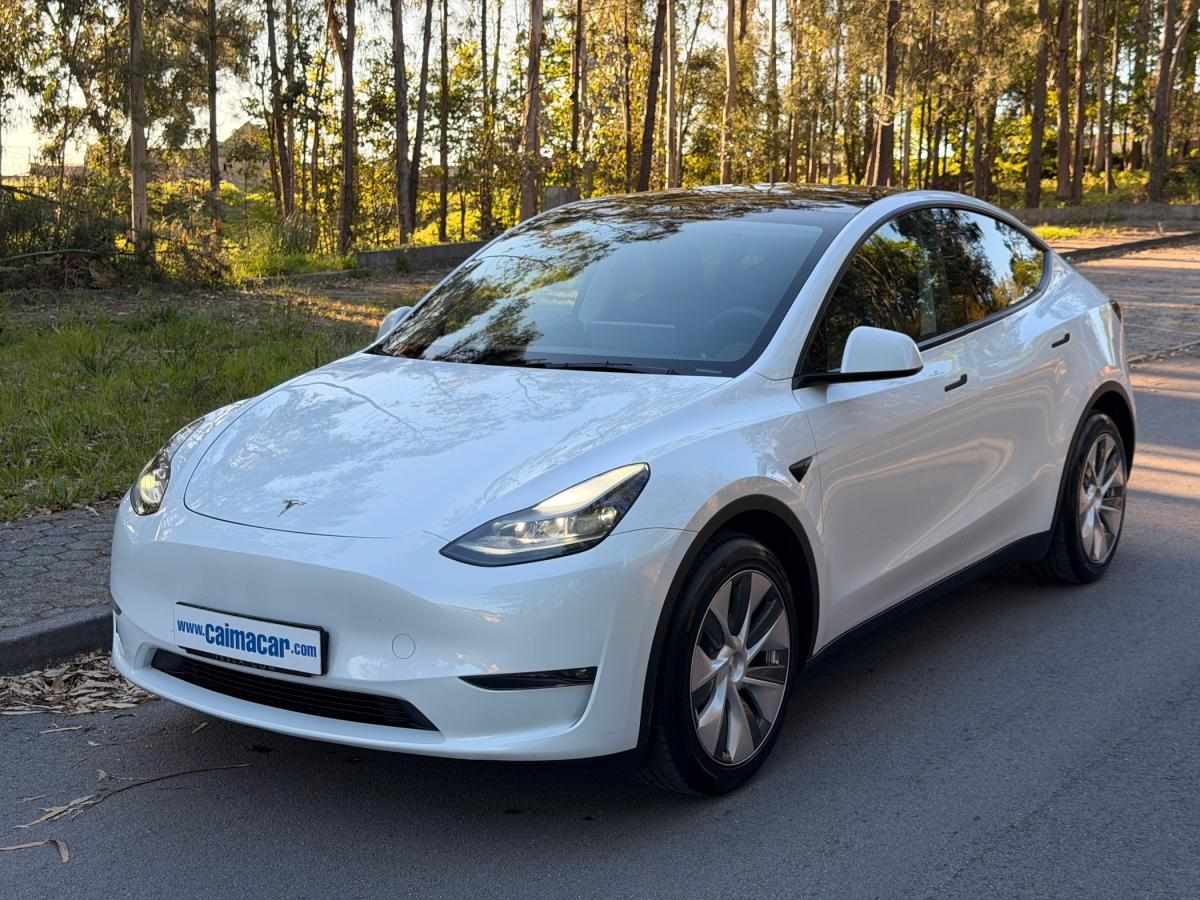 Tesla Model Y Long Range Tração Integral